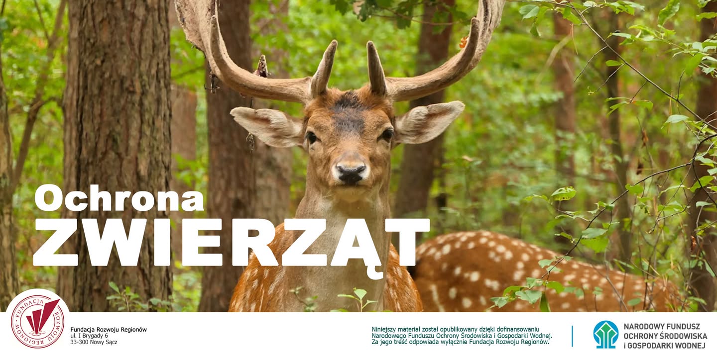 Centrum Edukacji Ekologicznej  - Szkolenie Urzędników