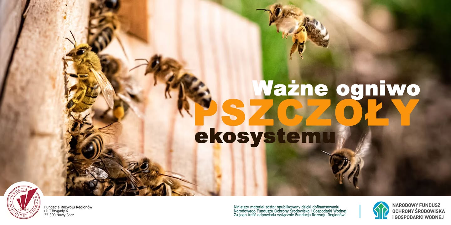 Centrum Edukacji Ekologicznej  - Szkolenie Urzędników