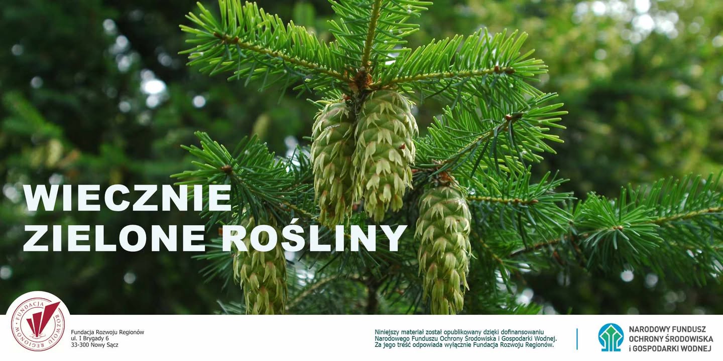 Centrum Edukacji Ekologicznej  - Szkolenie Urzędników